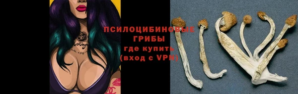 ешки Абинск