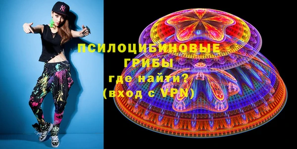 дживик Абаза