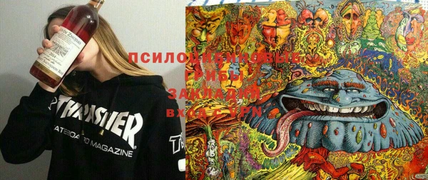 ешки Абинск
