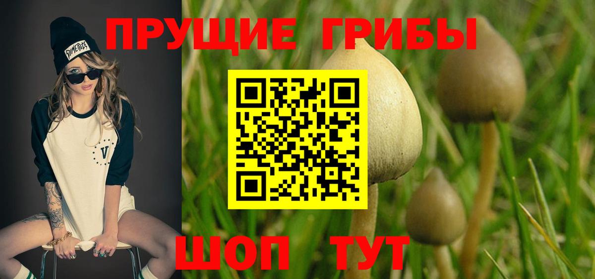 Псилоцибиновые грибы ЛСД Сафоново