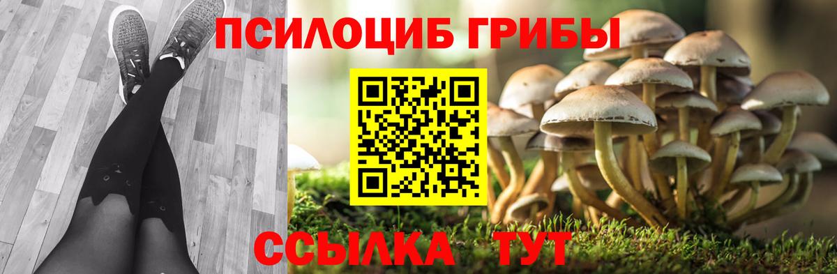 Сафоново  Галлюциногенные грибы мицелий  Вход с VPN 